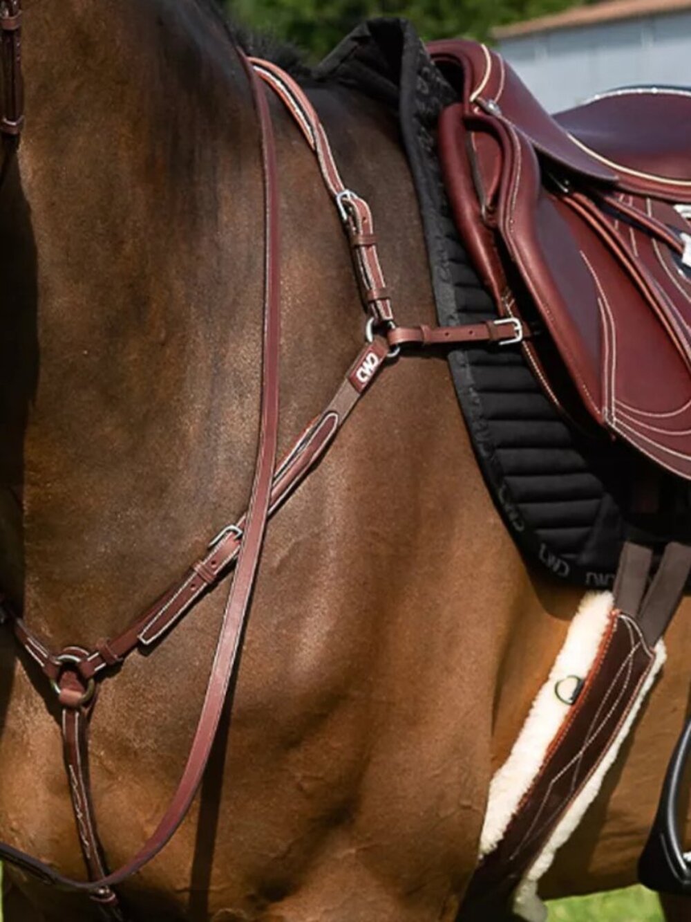 CWD Sport Color raised adjustable bridge breastplate - Picture 5 of 8